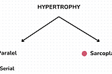 What is Hypertrophy?