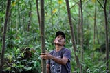 A German Social Entrepreneur is Saving the Indonesian Tropical Forest