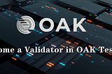 [Tutorial] Become a Validator node in OAK Network Testnet