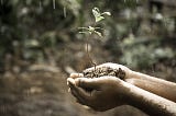 alt=”hands holding a seedling, representing embracing the new”