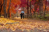 A couple walks through autumn leaves.