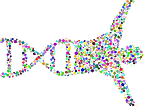 The astronomical length of DNA