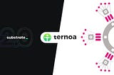 Ternoa, the blockchain behind the project