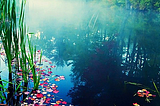 Misty Pond, Stowe, Vermont