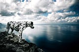 Kajsa the Dalmatian high above the Alcudia Bay, overlooking the ocean.