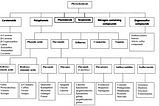 Types-of-phytochemcial