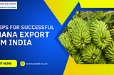 Top Tips for Successful Banana Export from India