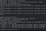 Setup to be able to ping google and not facebook