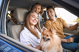 Top 5 Essential Tools To Carry For Traveling With Pets in the Car