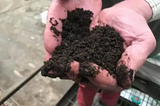 Bokashi Composting: A Step-by-Step Guide with Sustainable Inputs