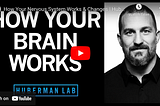 How Your Brain Works & Changes? According to Neuroscience