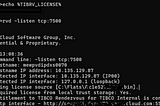 How to set a default license when using Rendezvous in auto start mode
