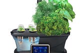 Beta-Basils: A guide to hobby consumer indoor gardening devices