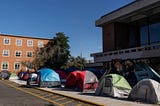 Are Dorms Doomed? The Rise in Mold-Infested Colleges Across America