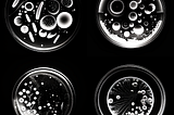 On Editing the Genome