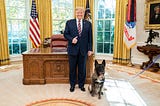Trump Proposes Term Length be Measured in ‘Dog Years’, claims “Longer Is Better”