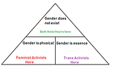 Why can’t feminists and trans activists get along?