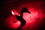 A goose decoy under in the spotlight of a red light in the dark