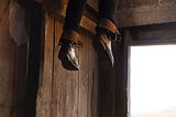 Proxmox 8.0 Hang on Boot — A Fix