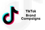 TikTok Brand Campaigns