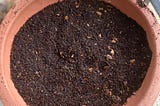 A Guide To Composting Easily At Home!