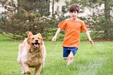 Dogs need a little Freedom! Giving them the space to make decisions