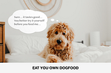 Eating my own dogfood — Designing a delightful experience