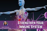 The Immune System: Exploring the Connection Between Healing Ability and Your Immunity