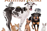 AnimVarious Amazing Facts About Animal Reiki