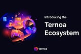 The Ternoa Ecosystem: A Blockchain Welcoming New Projects!