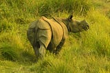 Budget travel in India