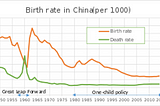 The One-Child Policy in China