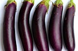 The medical benefits of eggplant