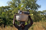 Sommalife — Gladiators of Shea Conservation