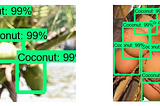 Smart Sourcing Using AI (Coconut Detection and Count with Artificial Neural Network)