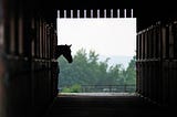 ​Managing the Horses Stable Environment for Respiratory Health