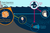 Microplastic + Nanotech → ?