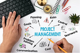 Project Management in the Software Industry