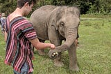Pachyderms and Poo: A Trip to Thailand’s Elephant Jungle Sanctuary