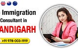 Top 5 Professional Immigration Consultants in Chandigarh
