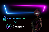 Space Falcon Announces Strategic Partnership with Cropper Finance