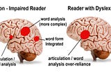 The left brain — comparing dyslexic and non-dyslexic brains.