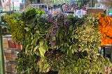 A Pause in Bogotá: Scent Discoveries Amidst Health Challenges