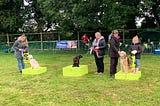 Dog show raising money for veterinary clinic