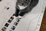 Kitten atop an analog data viz piece