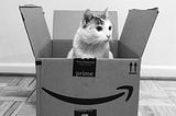 Gato numa das caixas de entrega das compras online | Tatiana Sendin