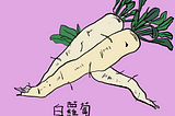 Daikon (White Radish) — Superfood for cutting grease and aiding digestion