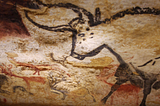 Picture of an ox in the walls of the caves in Lascaux