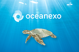 OceanExO | Protect Our Oceans with the Support of Fluid Chains