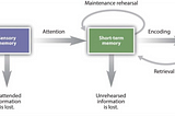 Memory, Improving Concentration & Reading System